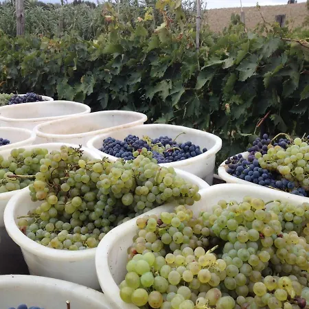 Agriturismo San Carlo Farm stay